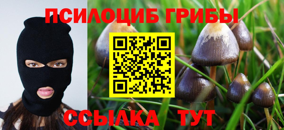 Псилоцибиновые грибы ЛСД Каменск-Шахтинский