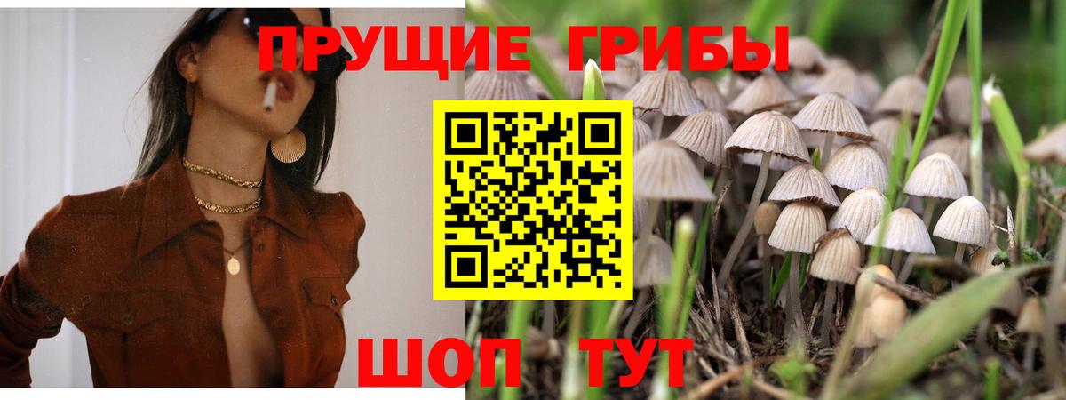 Каменск-Шахтинский  Галлюциногенные грибы ЛСД  Вход с VPN  Псилоцибиновые грибы ЛСД 